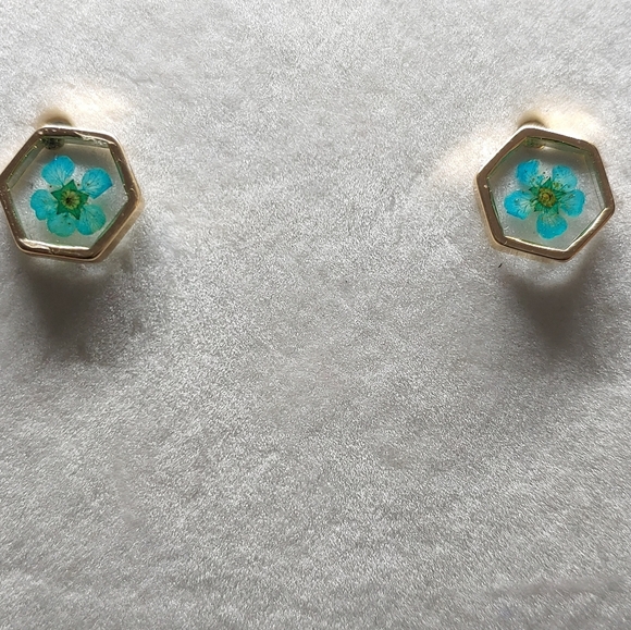 Earrings Rose Gold Color Hexagon w/ Dried Teal Flo - Picture 2 of 3